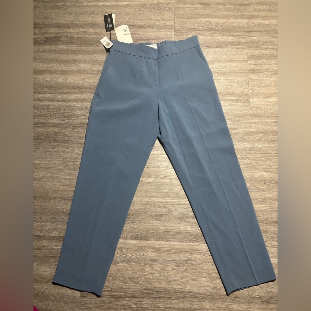 NWT -  Aritzia Babaton Conan Pants - Size 2